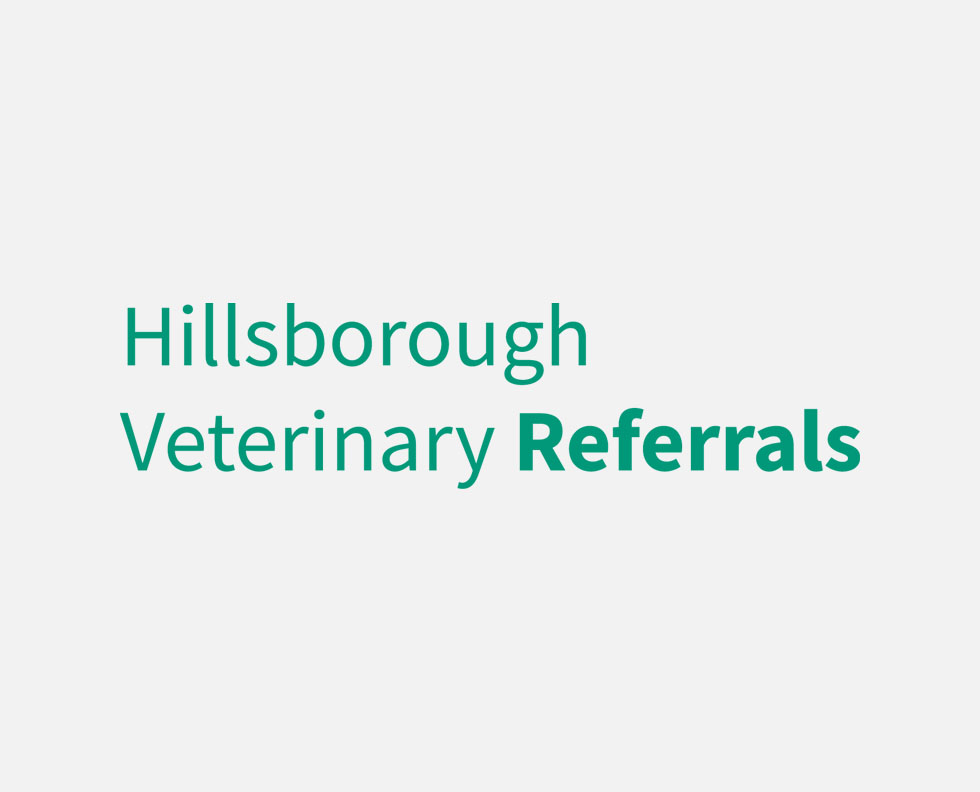 CPD Event – Feline Heart Murmurs: What’s Next?