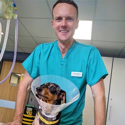 Pioneering Surgery and 3D Technology Helps Dachshund Overcome Severe Limb Deformities